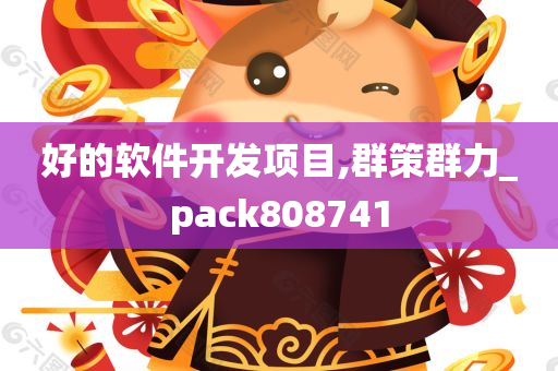 好的软件开发项目,群策群力_pack808741