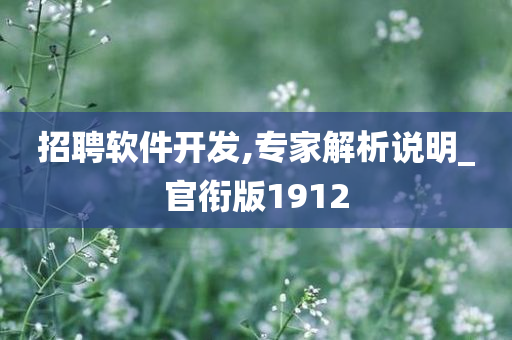 招聘软件开发,专家解析说明_官衔版1912