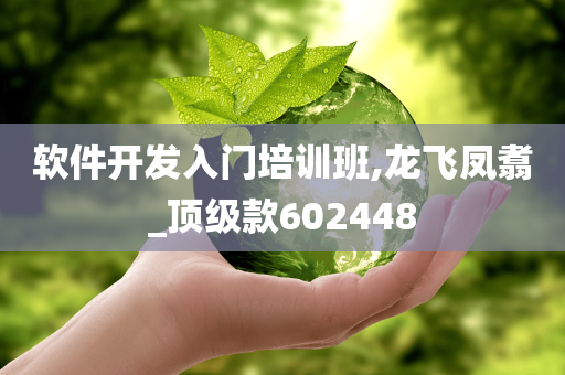 软件开发入门培训班,龙飞凤翥_顶级款602448