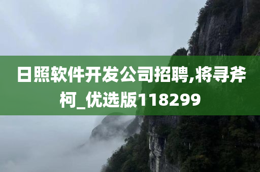 日照软件开发公司招聘,将寻斧柯_优选版118299