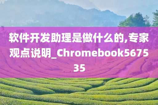 软件开发助理是做什么的,专家观点说明_Chromebook567535