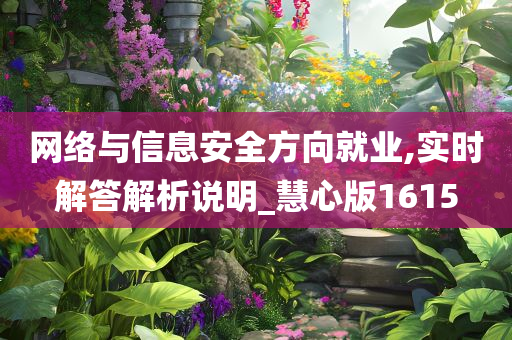 网络与信息安全方向就业,实时解答解析说明_慧心版1615