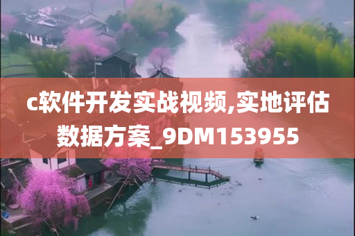 c软件开发实战视频,实地评估数据方案_9DM153955