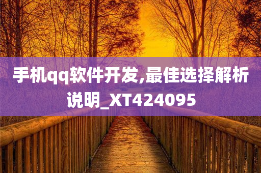 手机qq软件开发,最佳选择解析说明_XT424095