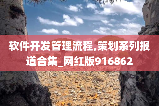 软件开发管理流程,策划系列报道合集_网红版916862