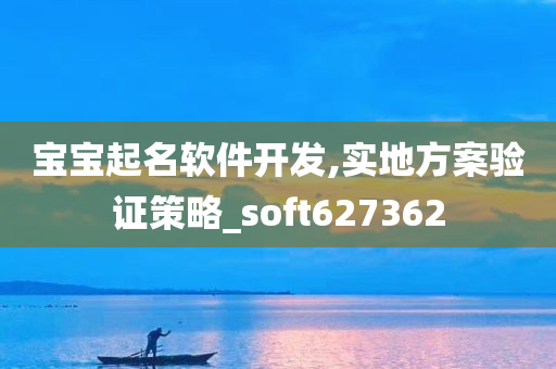 宝宝起名软件开发,实地方案验证策略_soft627362