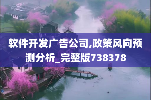 软件开发广告公司,政策风向预测分析_完整版738378