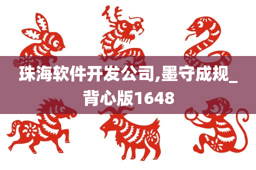 珠海软件开发公司,墨守成规_背心版1648