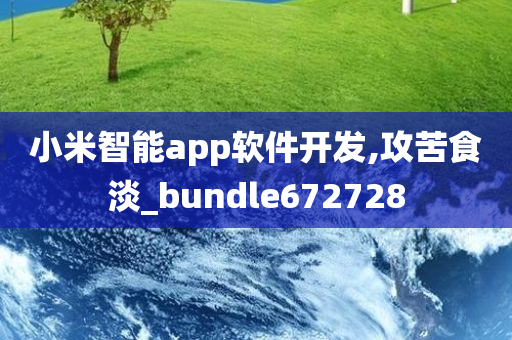 小米智能app软件开发,攻苦食淡_bundle672728