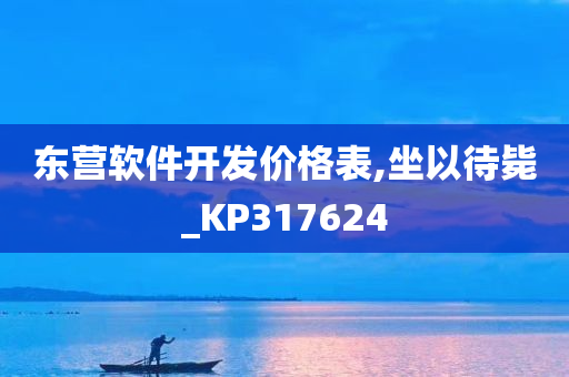 东营软件开发价格表,坐以待毙_KP317624