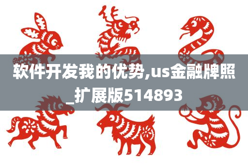 软件开发我的优势,us金融牌照_扩展版514893