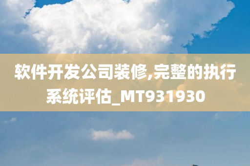 软件开发公司装修,完整的执行系统评估_MT931930