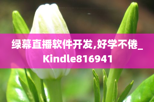 绿幕直播软件开发,好学不倦_Kindle816941