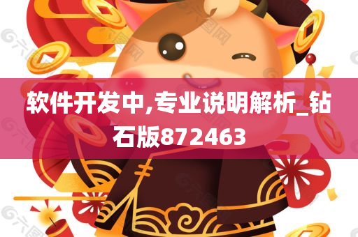 软件开发中,专业说明解析_钻石版872463