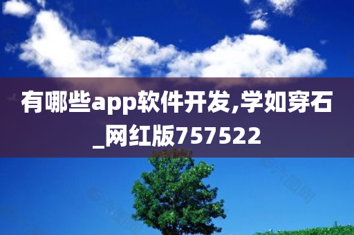 有哪些app软件开发,学如穿石_网红版757522