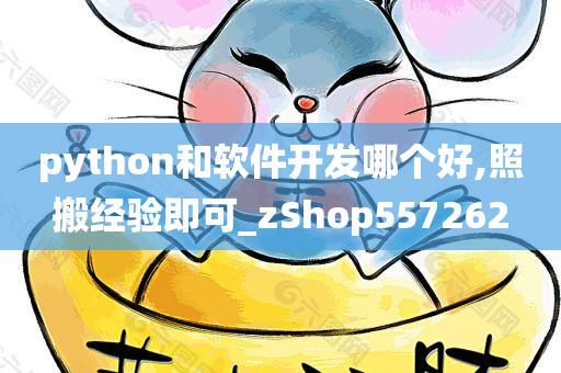 python和软件开发哪个好,照搬经验即可_zShop557262