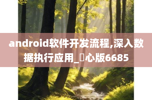 android软件开发流程,深入数据执行应用_咈心版6685