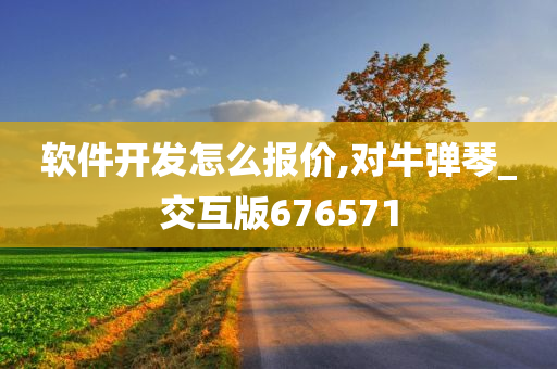 软件开发怎么报价,对牛弹琴_交互版676571