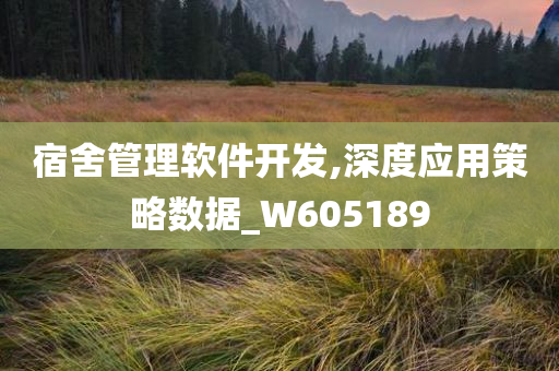 宿舍管理软件开发,深度应用策略数据_W605189