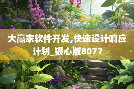 大赢家软件开发,快速设计响应计划_狠心版8077