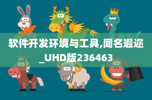 软件开发环境与工具,闻名遐迩_UHD版236463