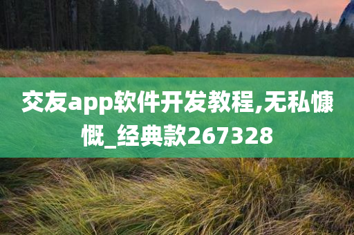 交友app软件开发教程,无私慷慨_经典款267328