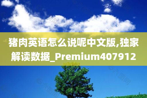 猪肉英语怎么说呢中文版,独家解读数据_Premium407912