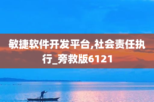 敏捷软件开发平台,社会责任执行_旁救版6121