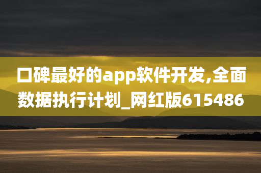 口碑最好的app软件开发,全面数据执行计划_网红版615486