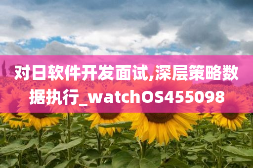 对日软件开发面试,深层策略数据执行_watchOS455098