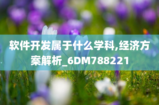 软件开发属于什么学科,经济方案解析_6DM788221