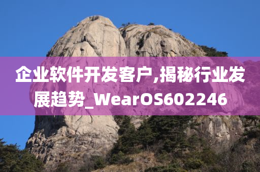 企业软件开发客户,揭秘行业发展趋势_WearOS602246