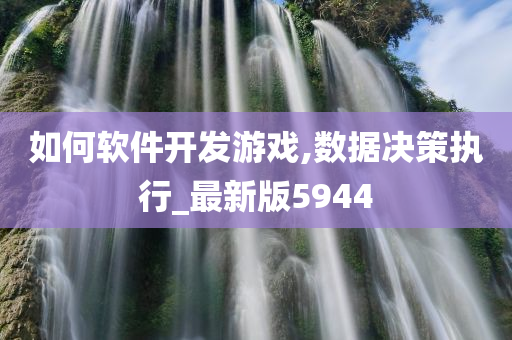 如何软件开发游戏,数据决策执行_最新版5944