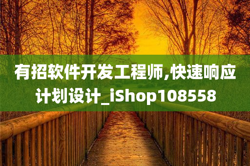 有招软件开发工程师,快速响应计划设计_iShop108558