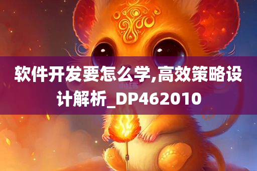 软件开发要怎么学,高效策略设计解析_DP462010