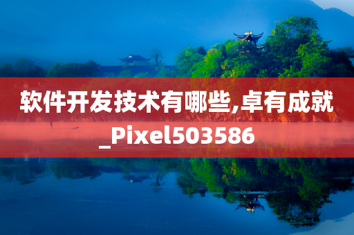 软件开发技术有哪些,卓有成就_Pixel503586