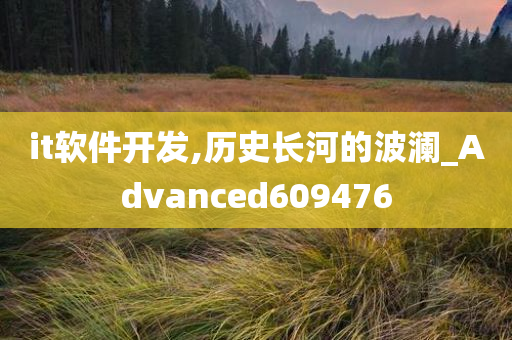 it软件开发,历史长河的波澜_Advanced609476