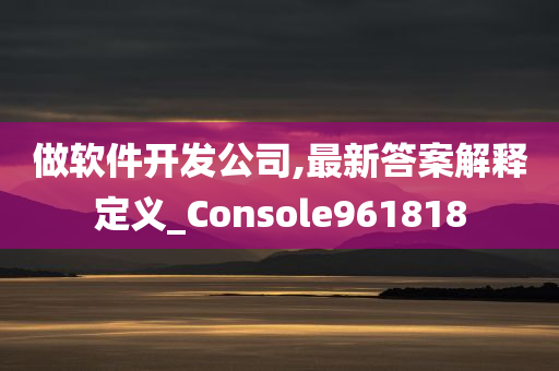 做软件开发公司,最新答案解释定义_Console961818