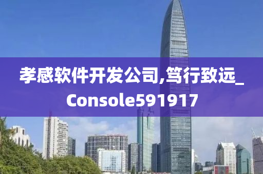 孝感软件开发公司,笃行致远_Console591917