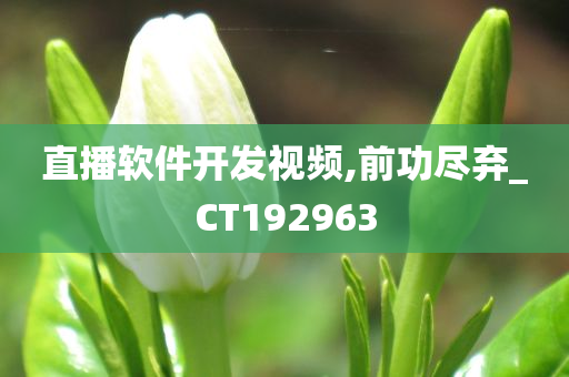 直播软件开发视频,前功尽弃_CT192963