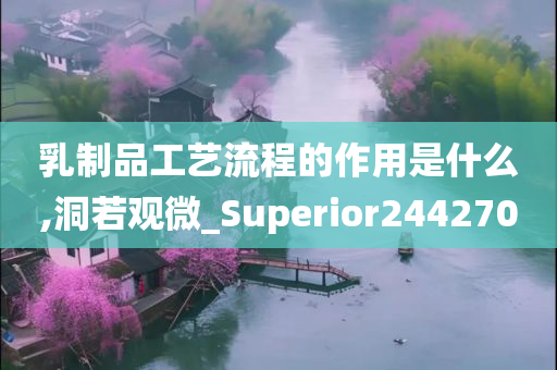 乳制品工艺流程的作用是什么,洞若观微_Superior244270