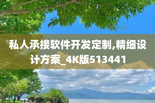 私人承接软件开发定制,精细设计方案_4K版513441