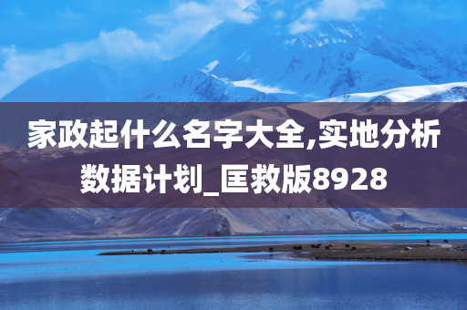 家政起什么名字大全,实地分析数据计划_匡救版8928