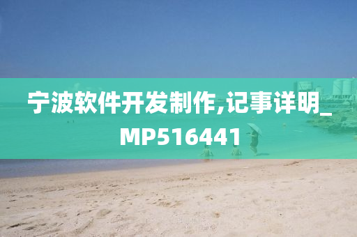 宁波软件开发制作,记事详明_MP516441