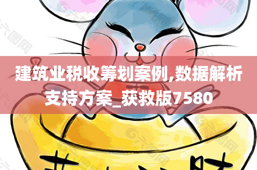 建筑业税收筹划案例,数据解析支持方案_获救版7580