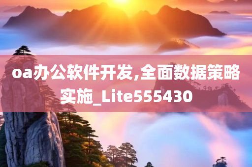 oa办公软件开发,全面数据策略实施_Lite555430