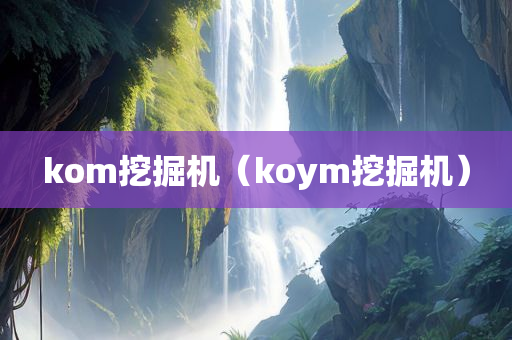 kom挖掘机（koym挖掘机）