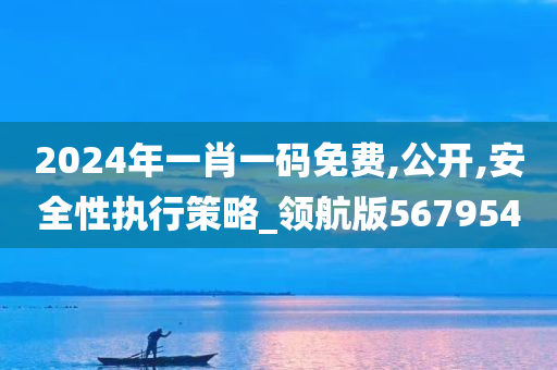 2024年一肖一码免费,公开,安全性执行策略_领航版567954