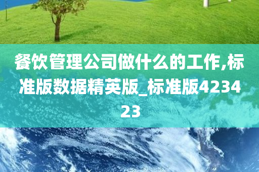 餐饮管理公司做什么的工作,标准版数据精英版_标准版423423