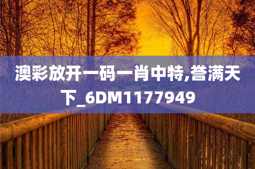 澳彩放开一码一肖中特,誉满天下_6DM1177949